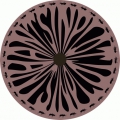 Antsinplot 02