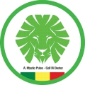 Rasta 07