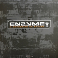 Enzyme 10