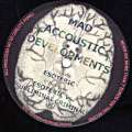 Mad Accoustic Developments 02