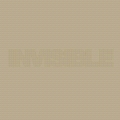 Invisible 16