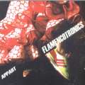 Flamencotronics CD