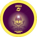 Chapati Express 45 RP