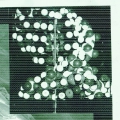 Eau Des Fleurs 05