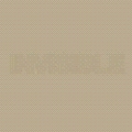 Invisible 03