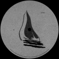Kynant 05