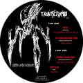 Transelucid 02