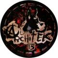 Architek 13