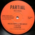 Partial Records 10001