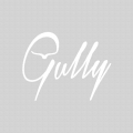 Gully 02