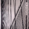 CIA QS 12