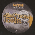 UTH Section DNB 01