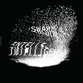 Swarm Intelligence 02