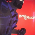 Peace Is The Mission LP