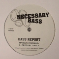 Necessary Bass 06