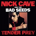 Nick Cave Tender Prey