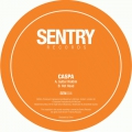 Sentry 04