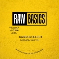 Raw Basics 04