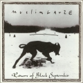 Muslimgauze Archive Series 51